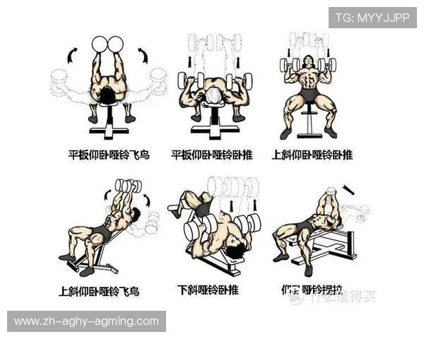 室内健身器材的正确使用方法:体育训练安全手册 室内健身器材的正确使用方法:体育训练安全手册