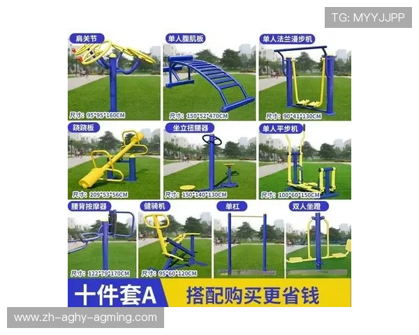 广场健身器材种类及其运动健身功能详细介绍