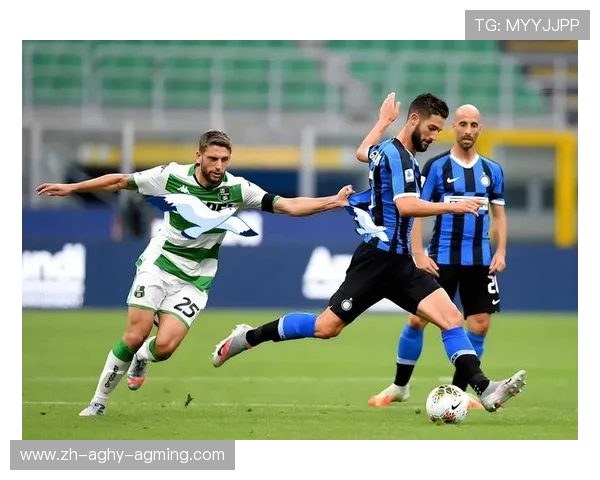 意甲联赛中未降级球队名单及体育稳定性分析