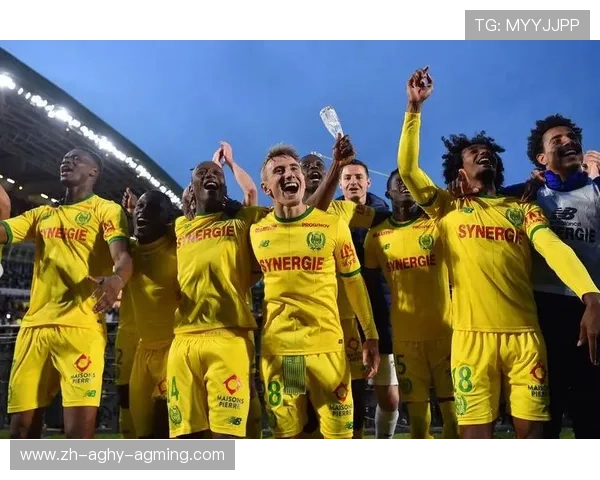 法甲联赛球队完整列表及赛季表现