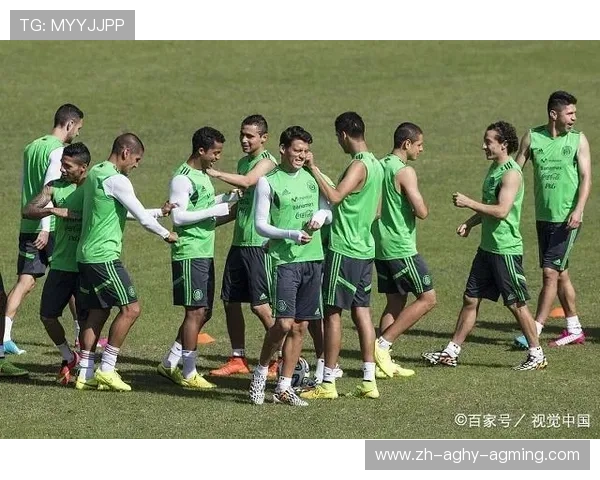 德甲18支球队身价总览及排名对比