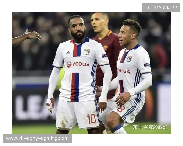 法甲比赛预测模型及数据支持的分析方法