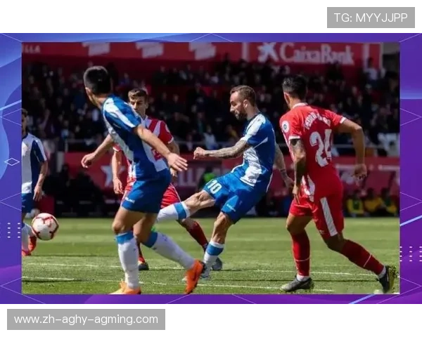 西甲联赛与意甲联赛的风格与对比分析