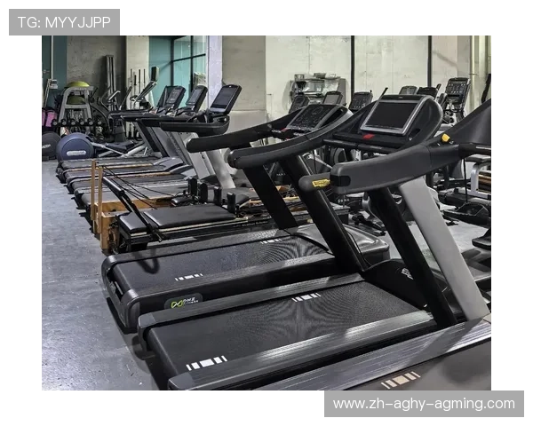 赛佰斯健身器材价格及功能介绍